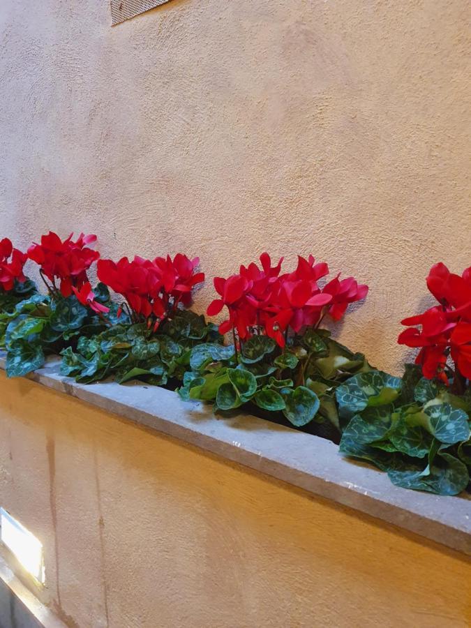 Vicolo Navona Apartman Róma Kültér fotó